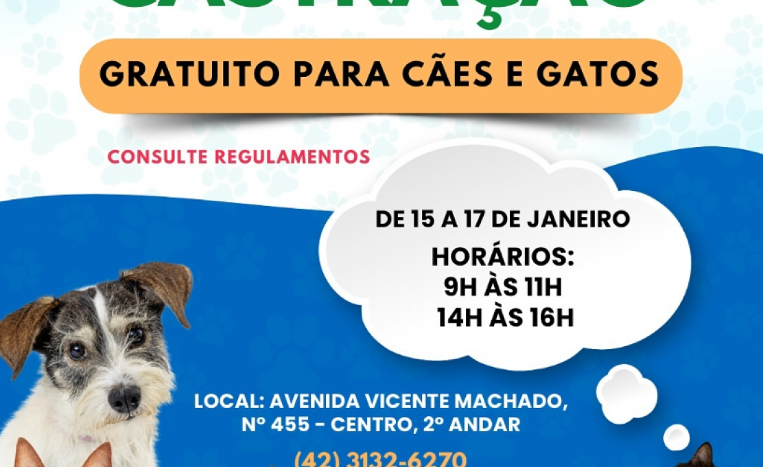 Castrapet Abre Inscrições Para Castração De Cães E Gatos Em Irati