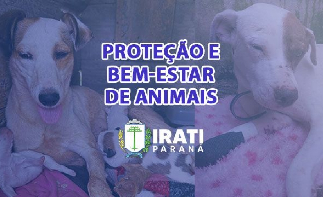 Defesa Animal Divulga Balanço De Ações De Janeiro