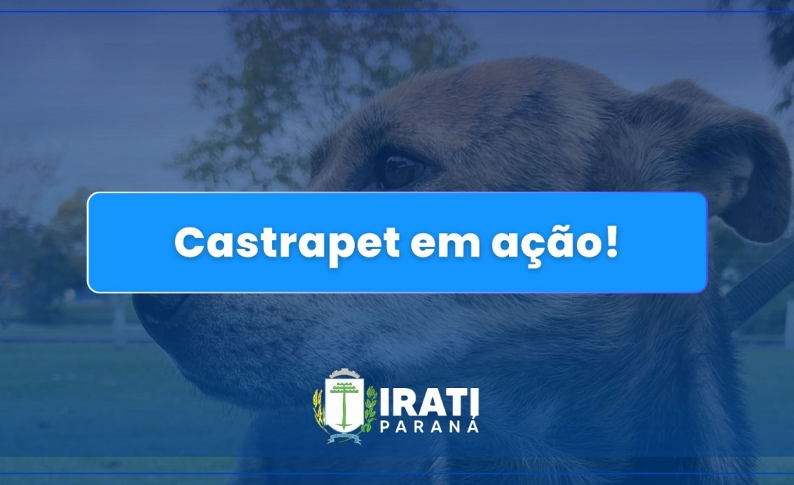 Prefeitura De Irati Castra 300 Animais Em Ações Do Castrapet Em 2025