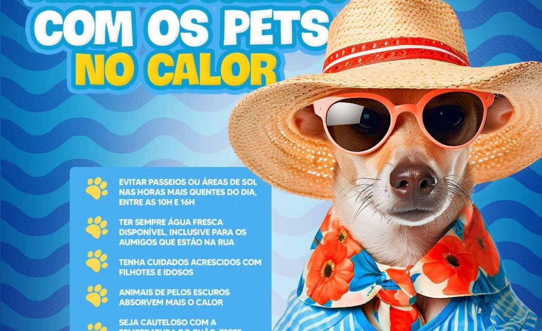 Defesa Animal Alerta Sobre Cuidados Com Os Pets Em Dias De Calor Intenso