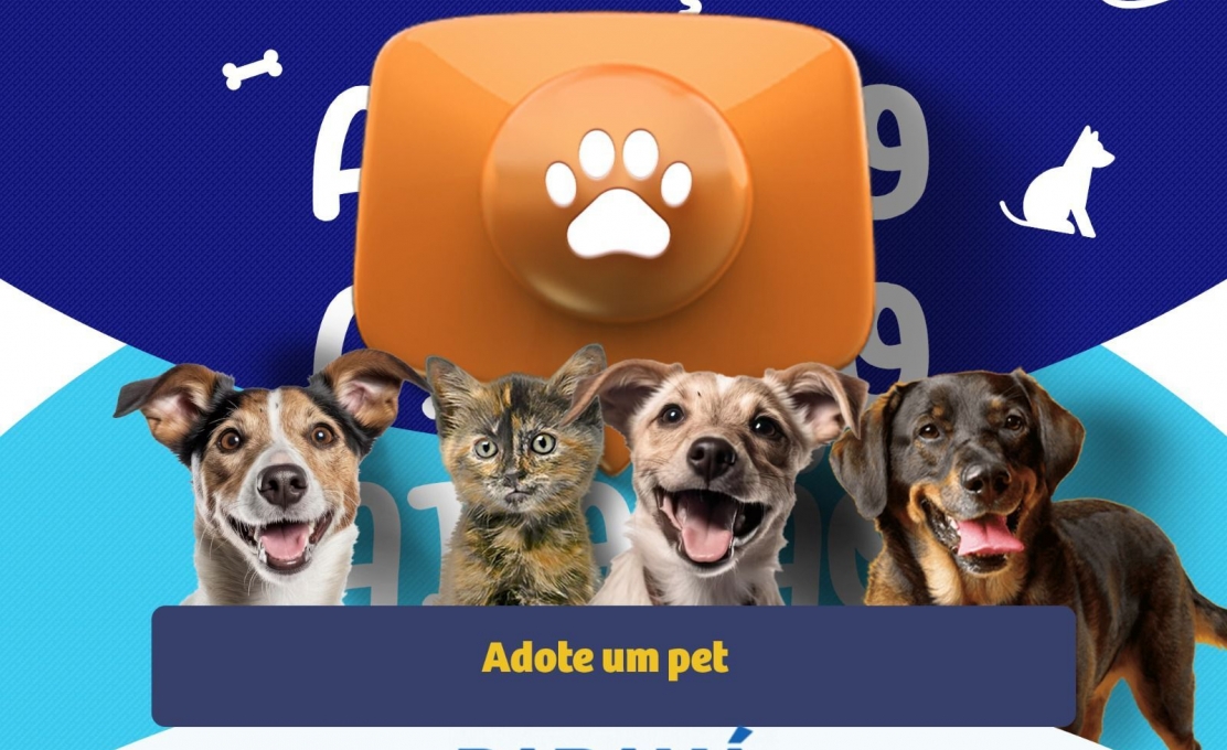 Em Irati, Paraná Em Ação Terá Feira De Adoção De Pets