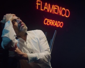 flamenco-3.jpeg