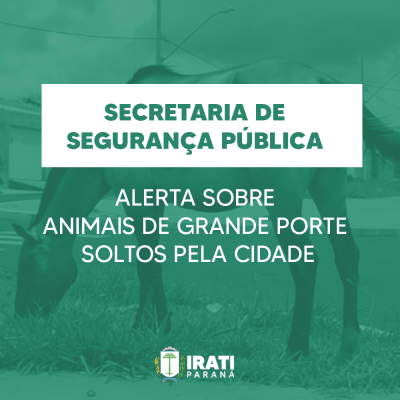 Secretaria de Segurança Pública faz alerta sobre animais de grande porte soltos pela cidade